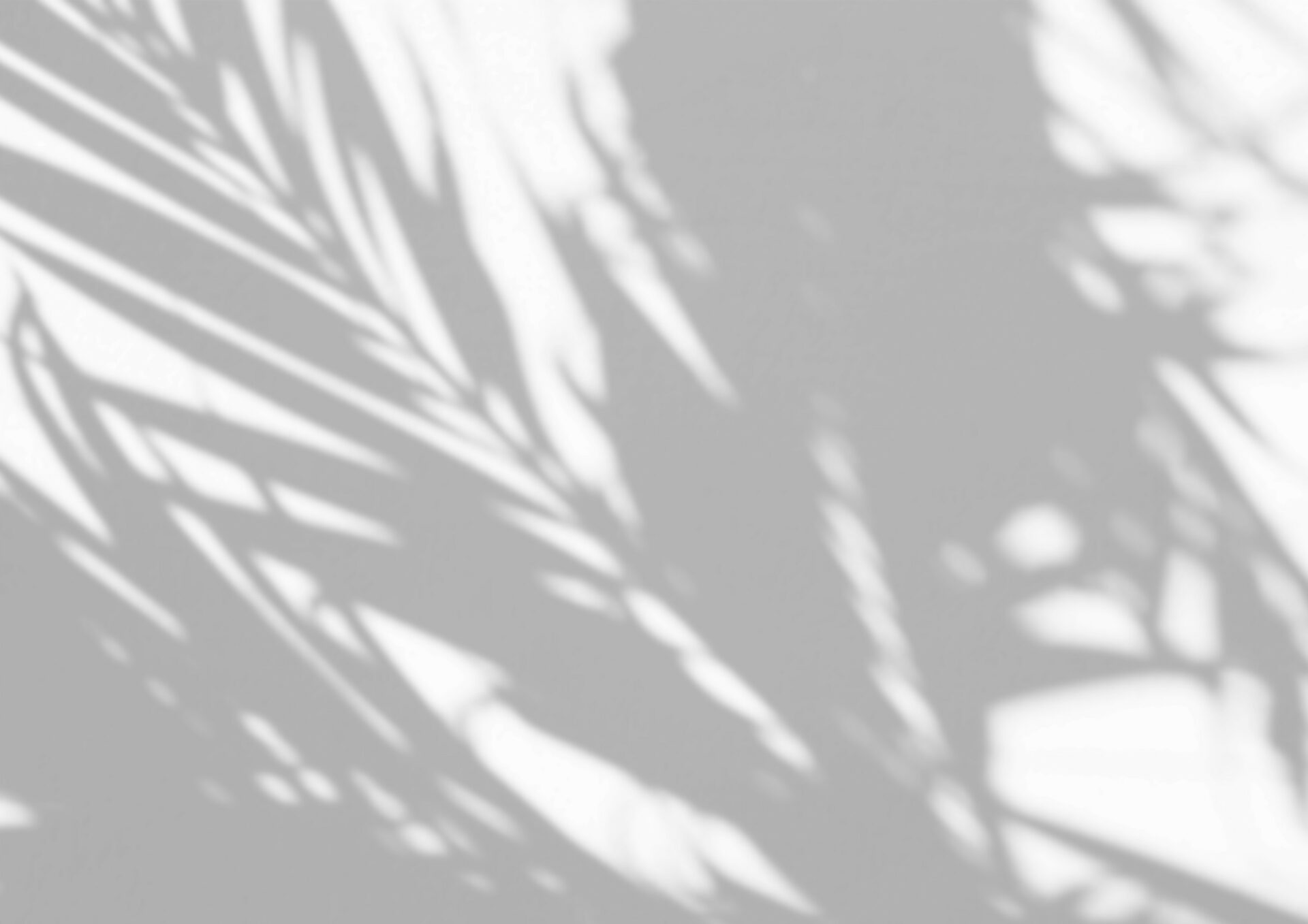 Shadow overlay 63 png